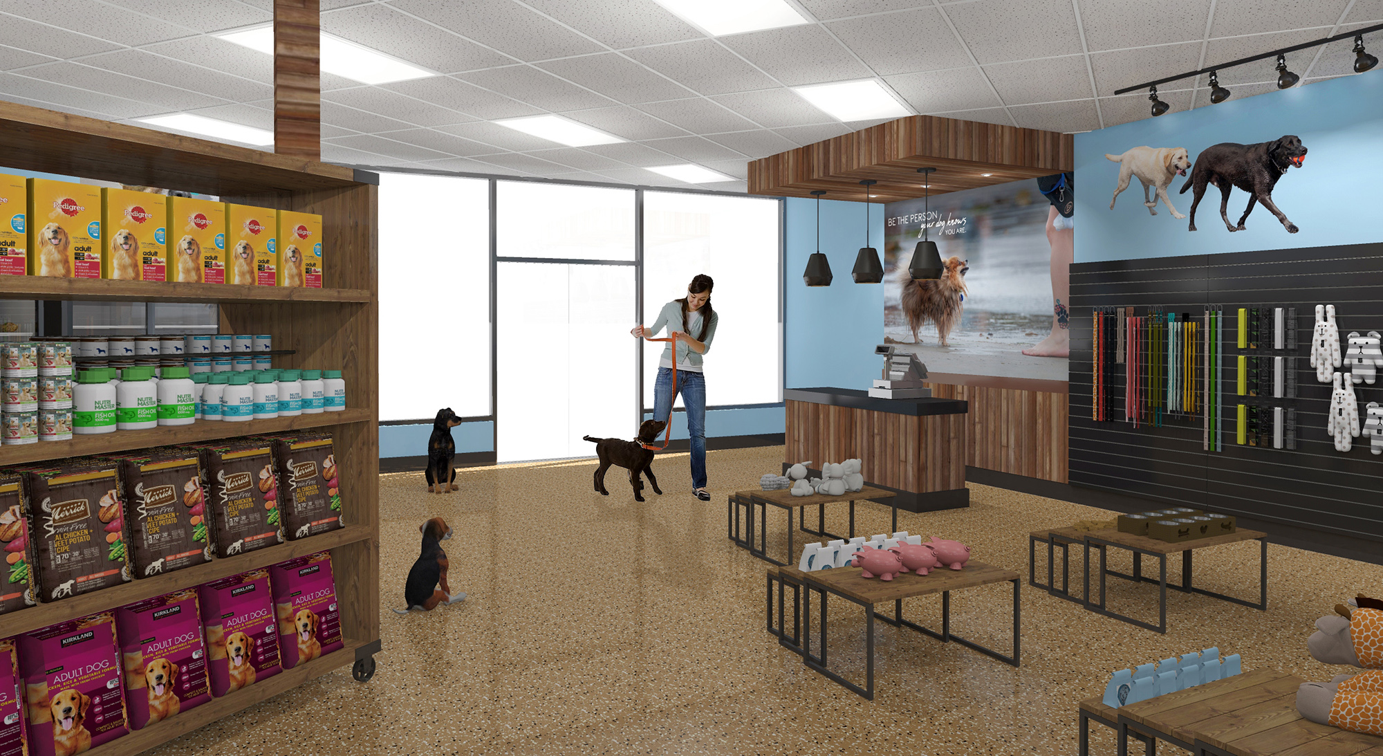 Our New Dogs Grooming Store Interior Design Is Cozy And Playful