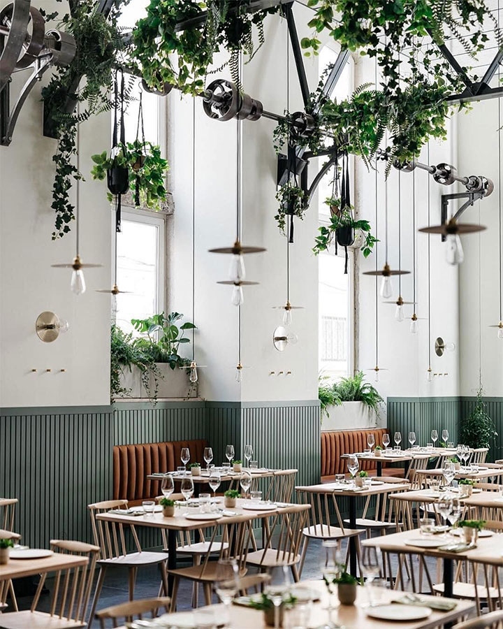 Our cafe » Designer Delights, design delights 