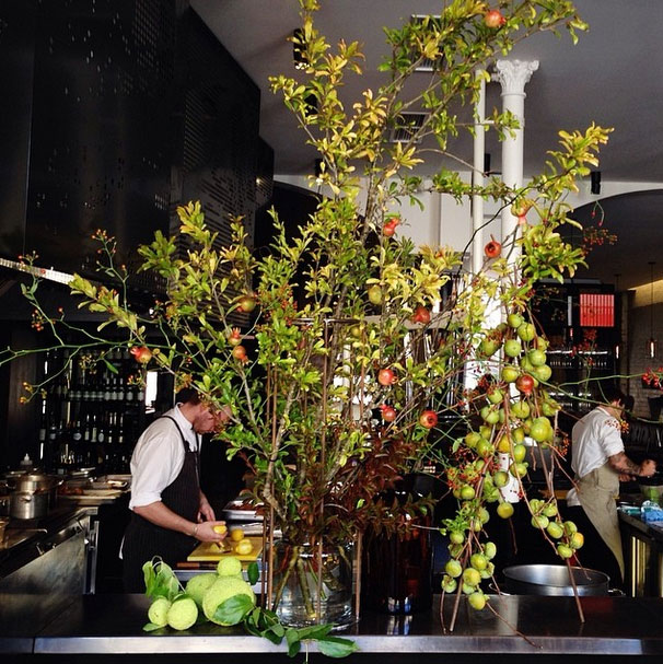 Fruit tree branches used in restaurant flower arrangements
