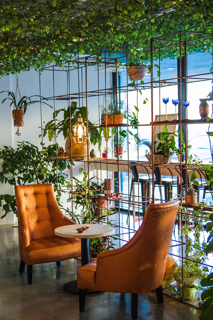 Green living ceiling and metal shelving for plants in restaurant interior