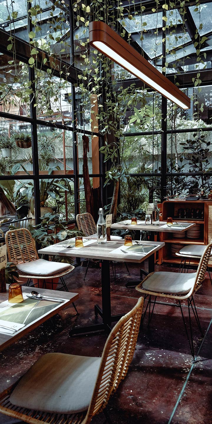 Using potted plants as decor in the outdoor area of a restaurant