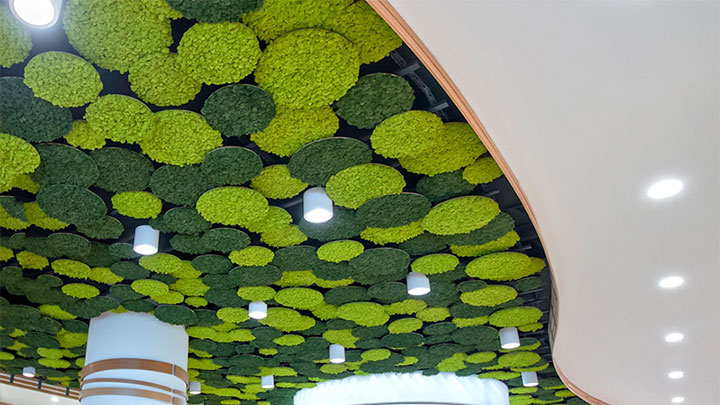 Use of moss system in ceiling design.