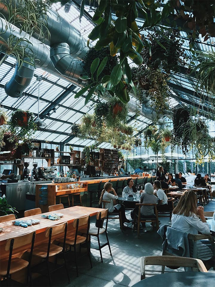 Air ducts, windows and plants as the ceiling landscape.
