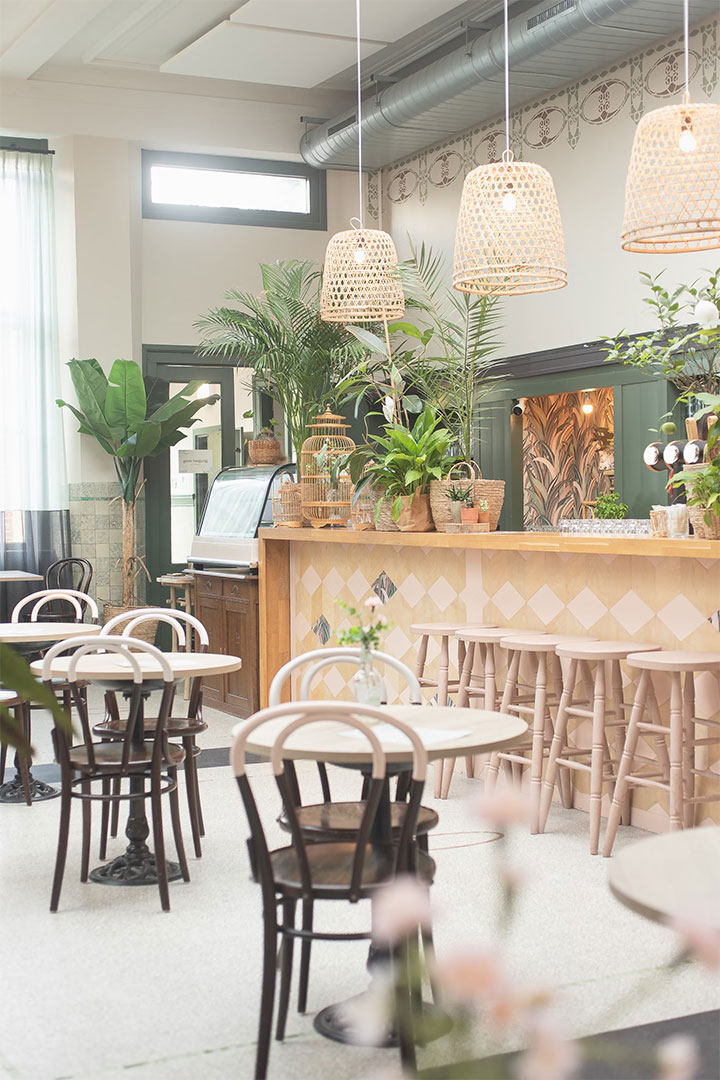 Pots of plants in a bright and airy seating area.